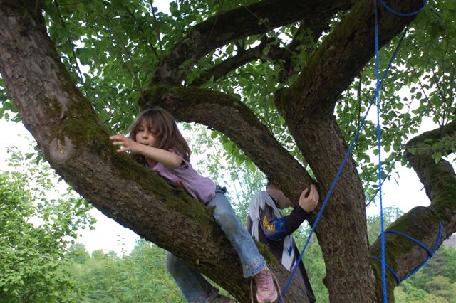 Kletterbaum im Garten