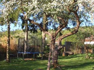 Kletterbaum und Trampolin